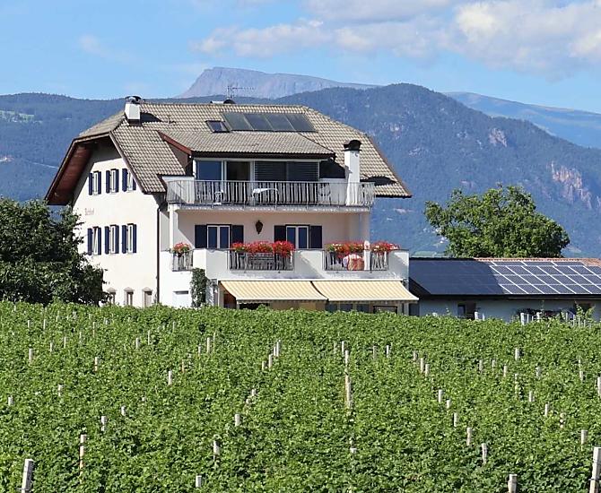 Circondato da vigneti