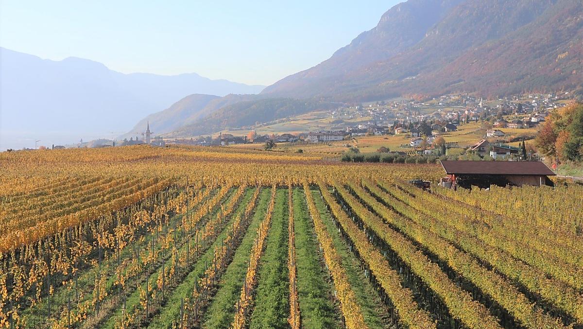Caldaro d’autunno dall'appartamento Weinberg