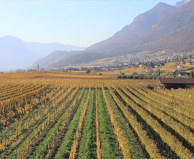 Caldaro d’autunno dall'appartamento Weinberg