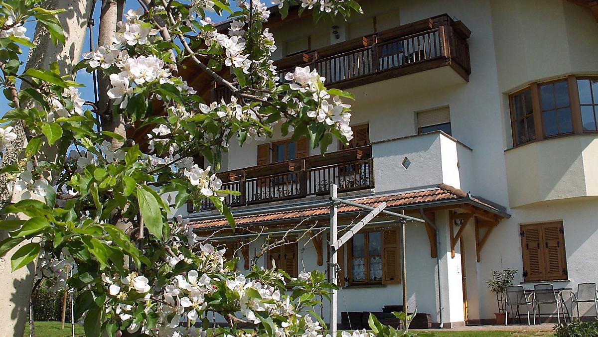Haus Sanin - Bildergalerie Photo