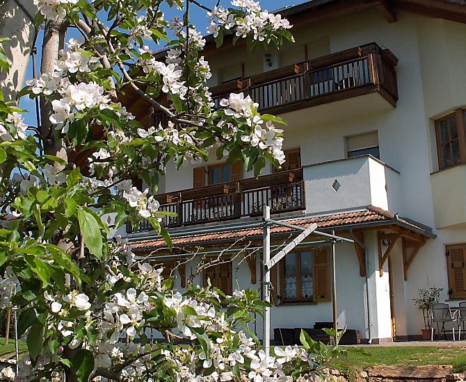 Haus Sanin - Bildergalerie Photo