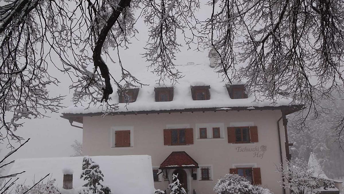 Tschuschi-Hof - Bildergalerie Photo