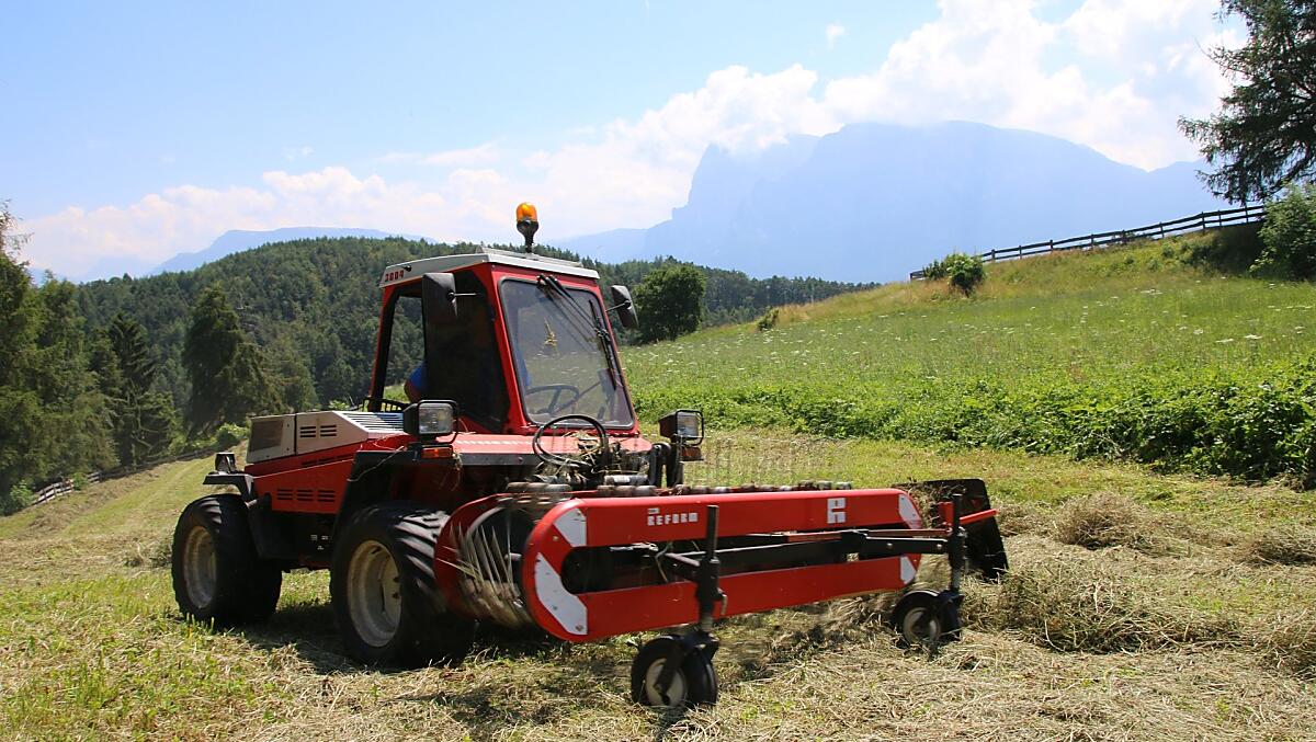 Alla raccolta del fieno