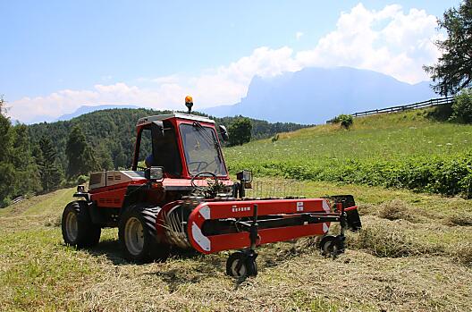 Alla raccolta del fieno
