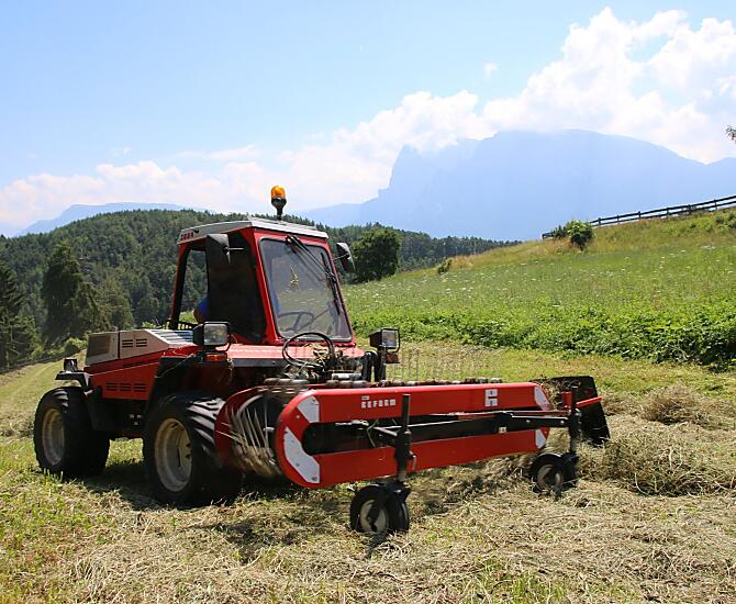 Alla raccolta del fieno