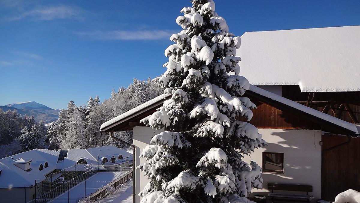 Vista invernale