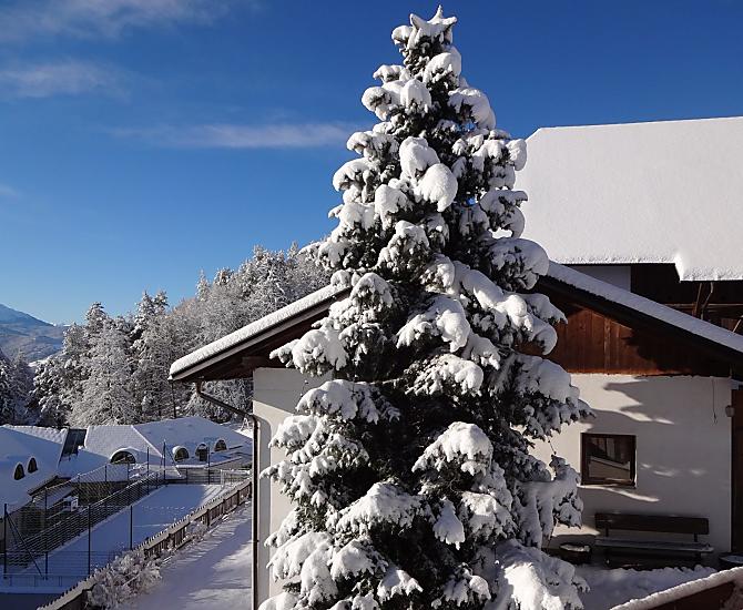 Vista invernale