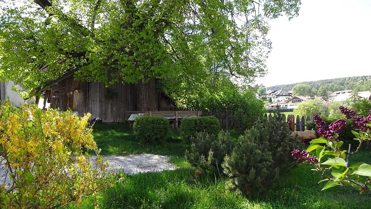 Primavera, tutto si risveglia a nuova vita