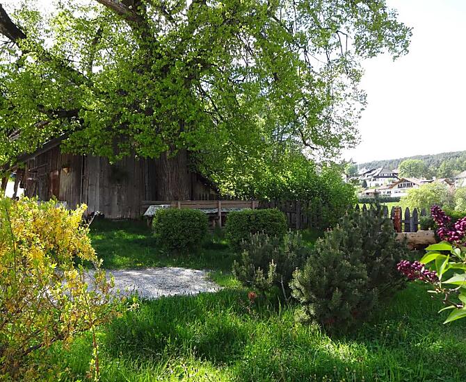 Primavera, tutto si risveglia a nuova vita