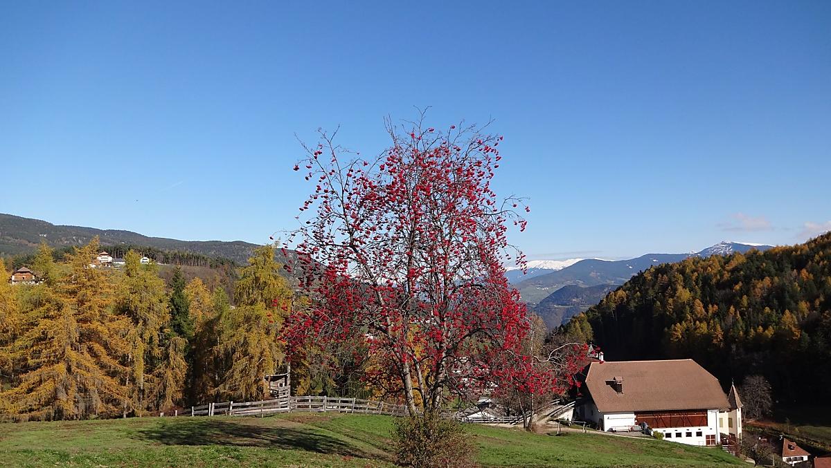 Atmosfera autunnale