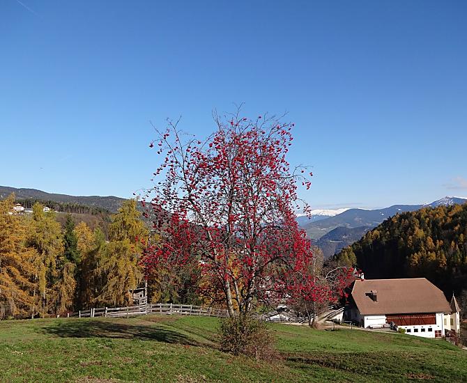 Atmosfera autunnale