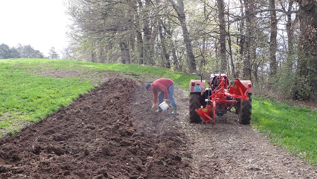 In primavera si lavorano i campi e si piantano le patate.