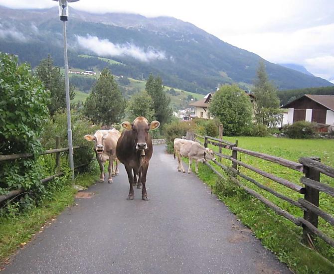 Vernunghof - Bildergalerie Photo