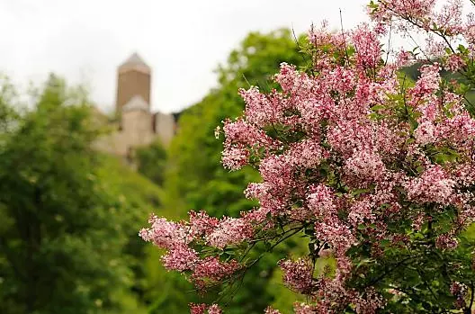 Niederhauserhof - Liste Photo