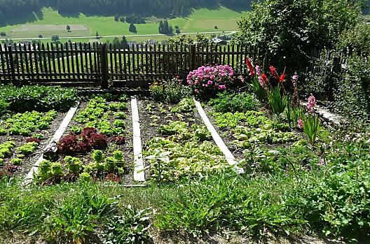 Moserhof - Liste Photo