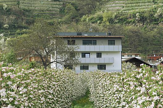 Waalhof - Liste Photo