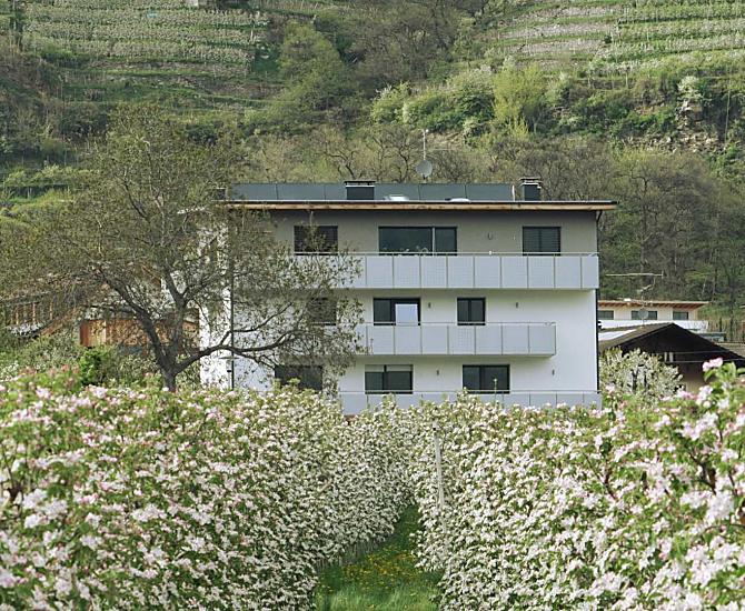 Waalhof - Bildergalerie Photo