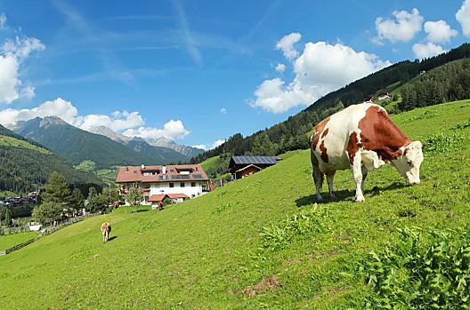 Mitterlembach - Liste Photo