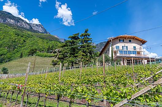Zedernhof - Liste Photo