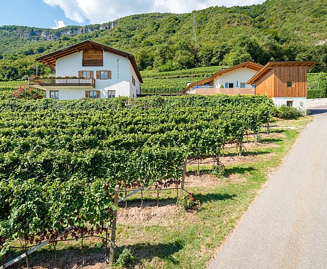 Weifnerhof - Bildergalerie Photo