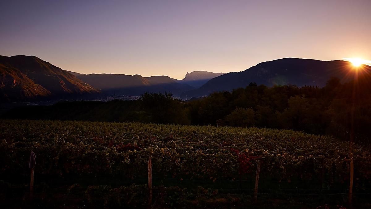 Weingut Stuck - Bildergalerie Photo