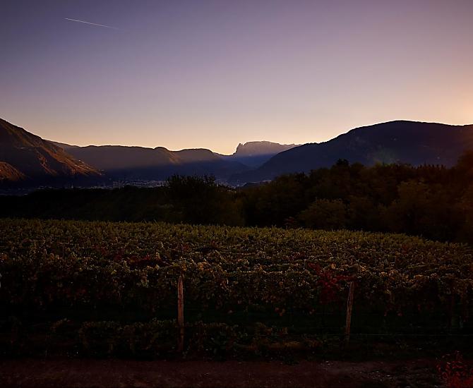 Weingut Stuck - Bildergalerie Photo