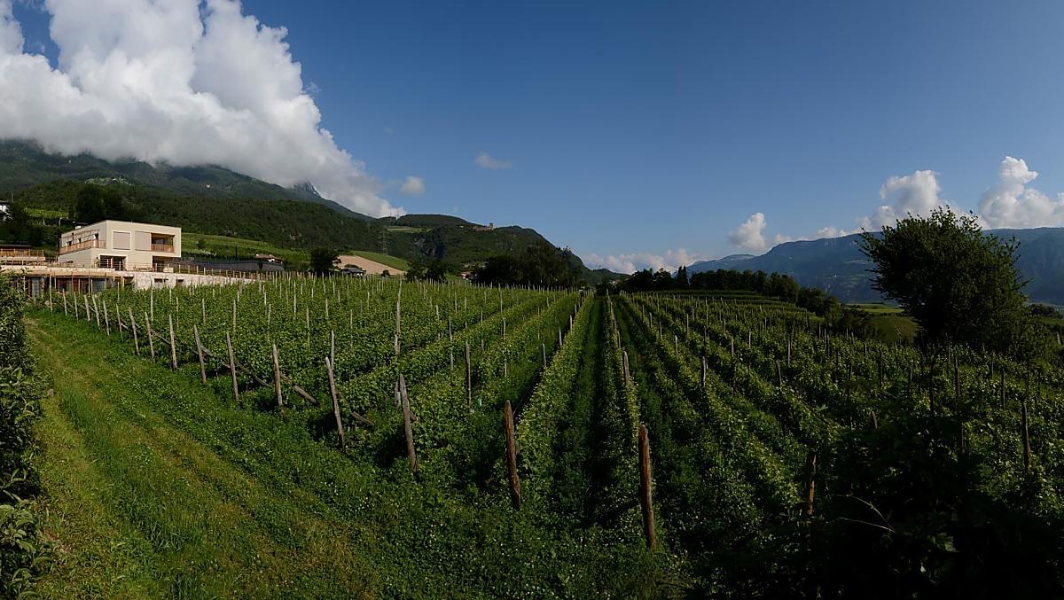 Weingut Stuck - Bildergalerie Photo