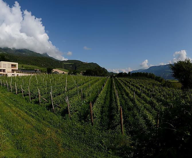 Weingut Stuck - Bildergalerie Photo