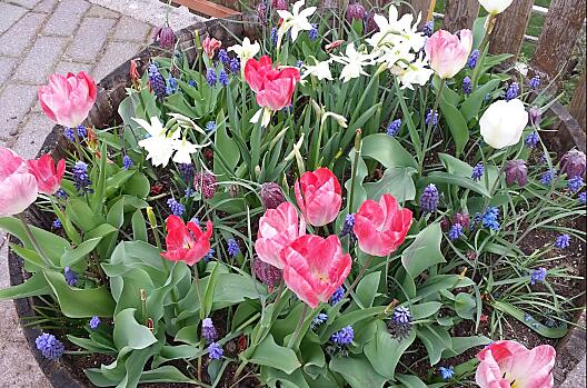 Frühling