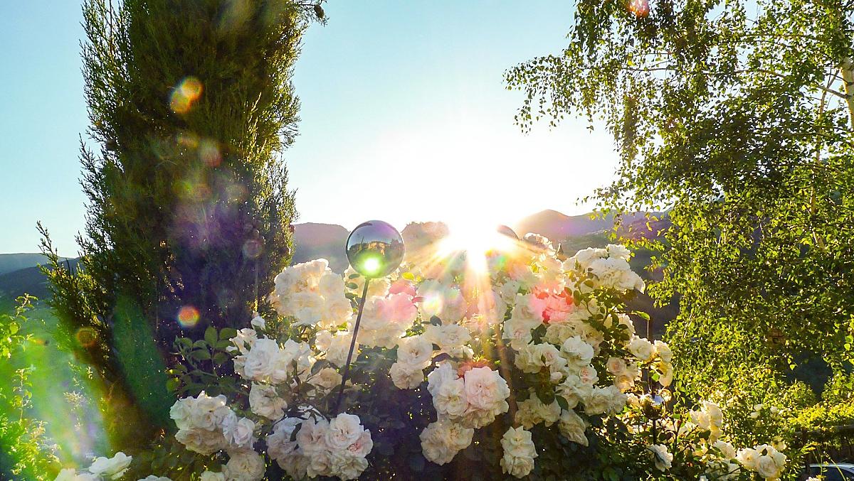Primavera al maso