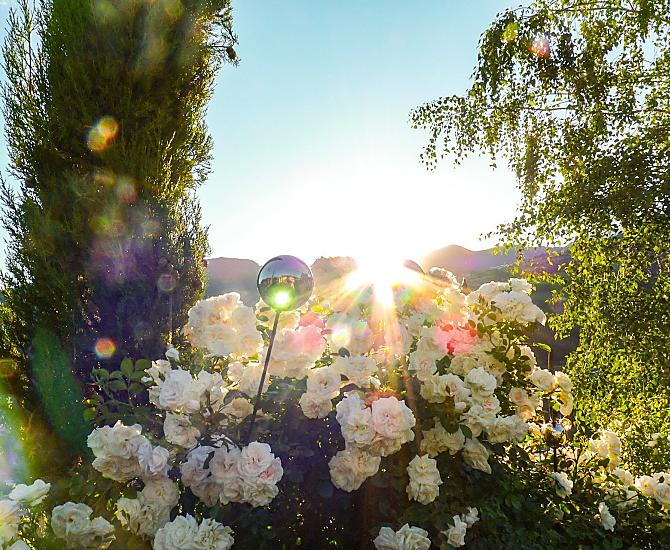 Primavera al maso