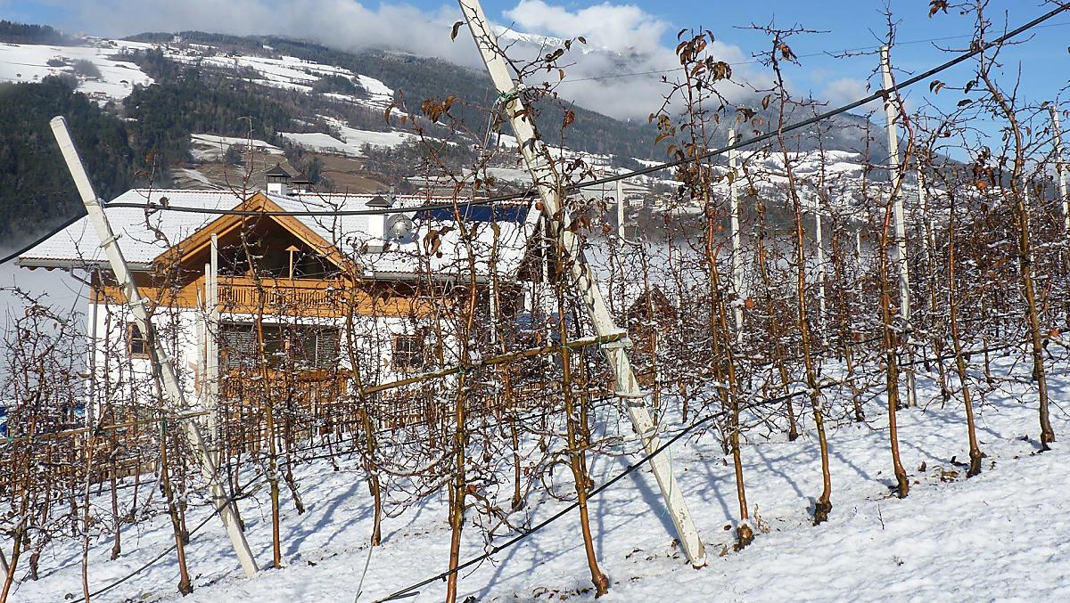 Il maso Gufidaunerhof in inverno