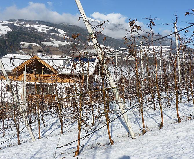 Il maso Gufidaunerhof in inverno