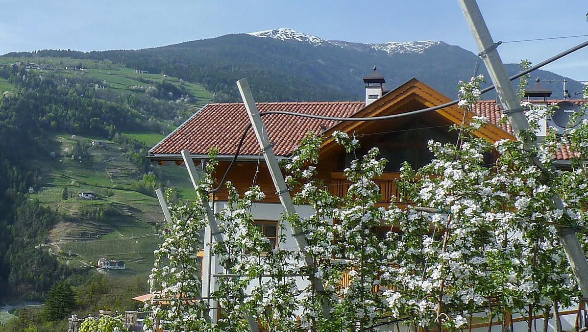 Il maso Gufidaunerhof in primavera