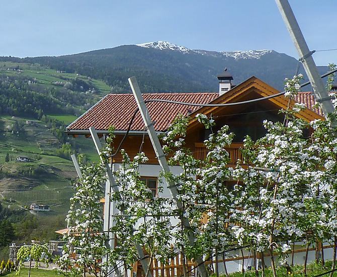 Il maso Gufidaunerhof in primavera