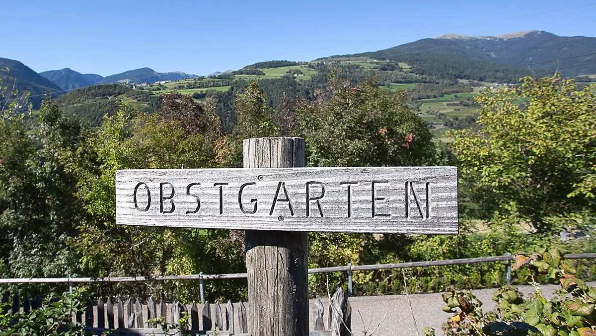 Gufidaunerhof - Bildergalerie Photo