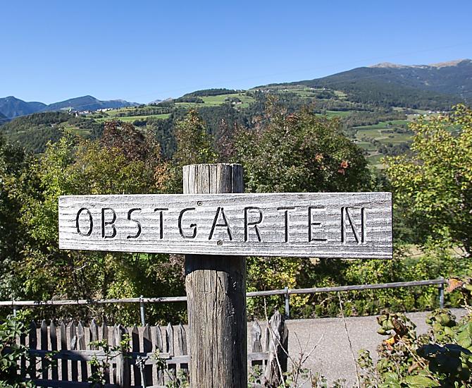 Gufidaunerhof - Bildergalerie Photo