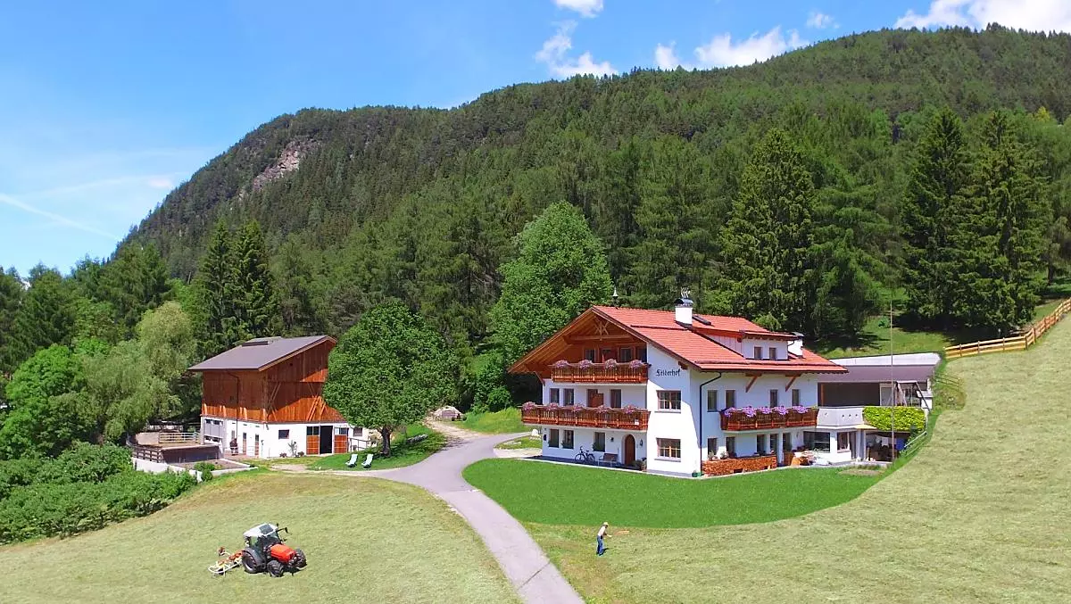 Felderhof - Bildergalerie Photo