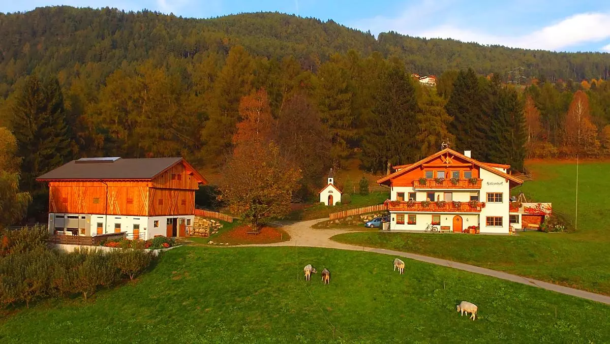 Felderhof - Bildergalerie Photo