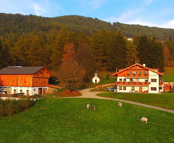 Felderhof - Bildergalerie Photo