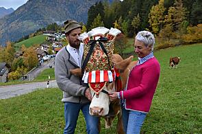 Moarhof - Gastgeber Photo