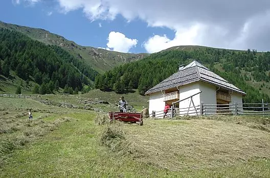 La raccolta del fieno