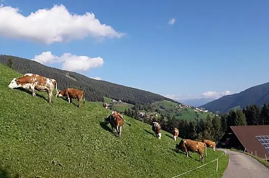 Col de Tlames - Liste Photo