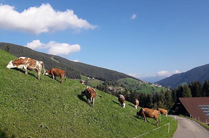 Col de Tlames - gallery Photo