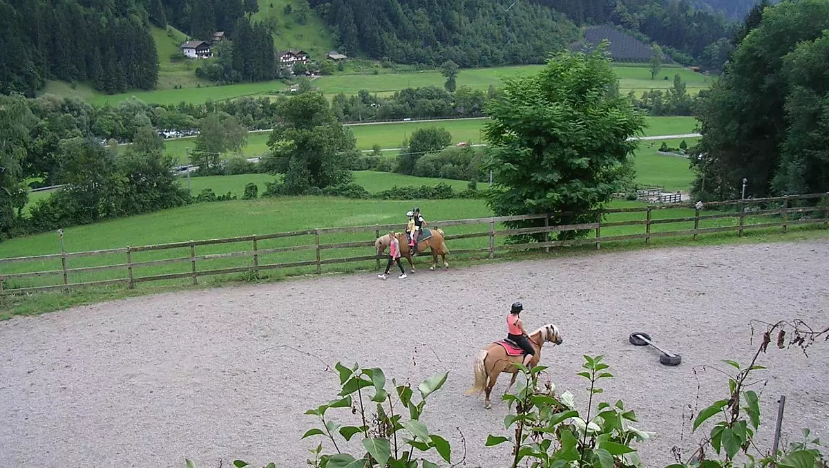 Schildhof Granstein - Bildergalerie Photo