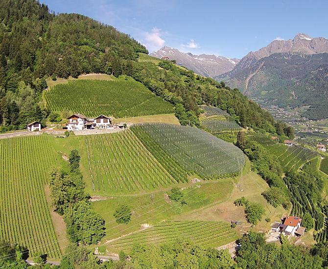 Zeisalterhof - Bildergalerie Photo