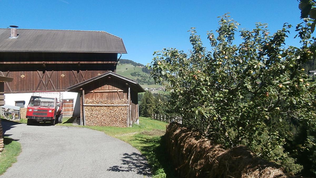Groneshof - Bildergalerie Photo