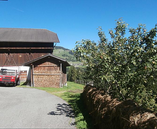 Groneshof - Bildergalerie Photo