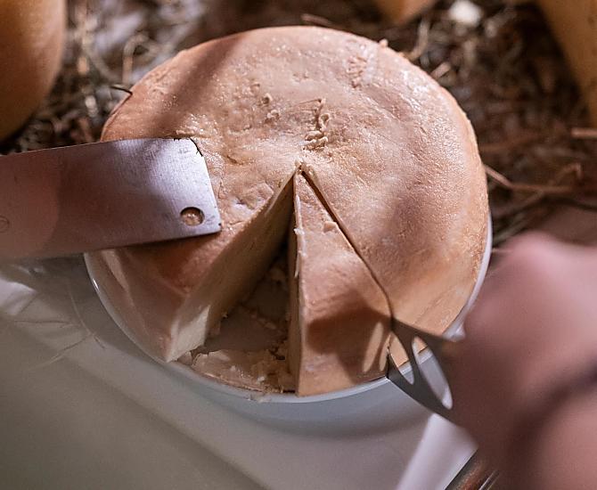 Degustazione di formaggi
