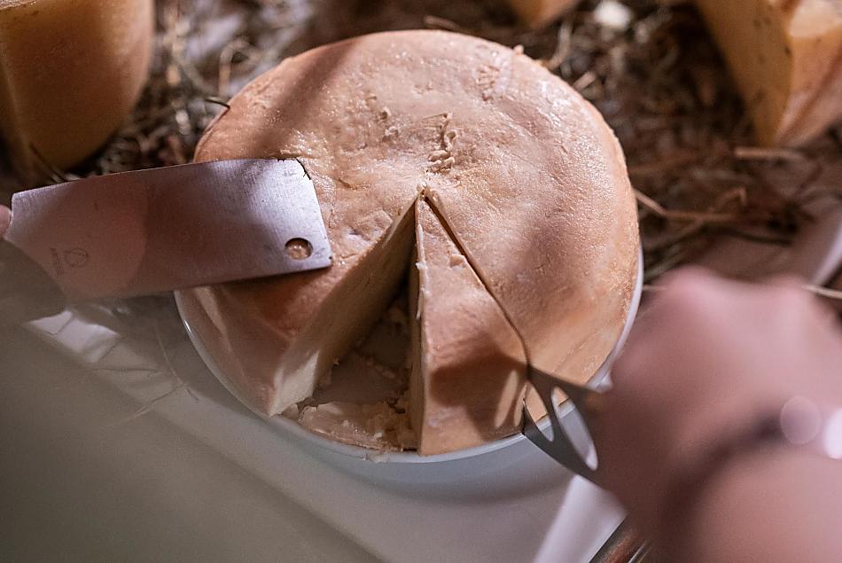 Degustazione di formaggi